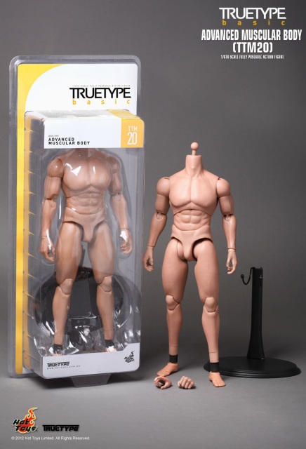 Hot Toys TrueType - Caucasian Male (New Generation Slim Body